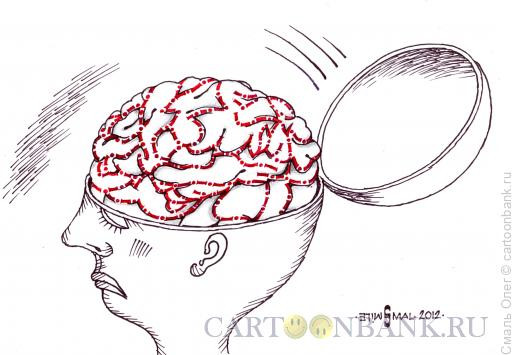 Карикатура: Мозг, Смаль Олег