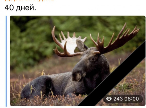 Мем, Максим Камерер