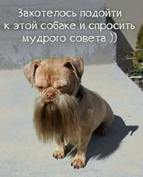 Мем