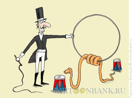 Карикатура: Питон, Тарасенко Валерий