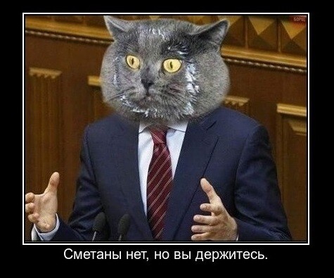 Мем, James Safarelli