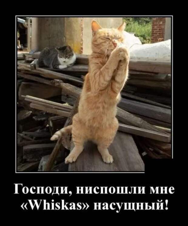 Мем