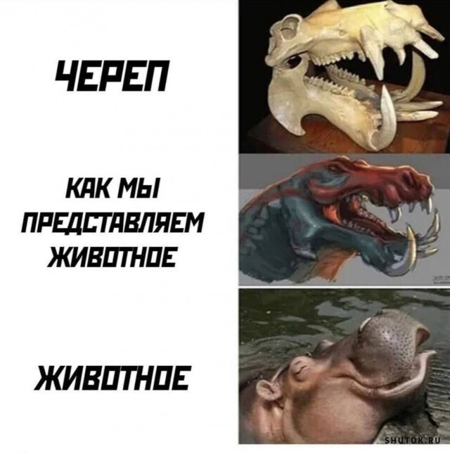 Мем, Джокер