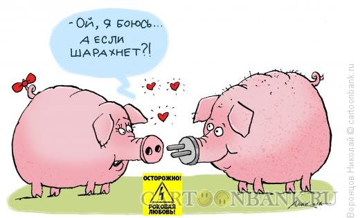 Карикатура: РОковая любовь, Воронцов Николай