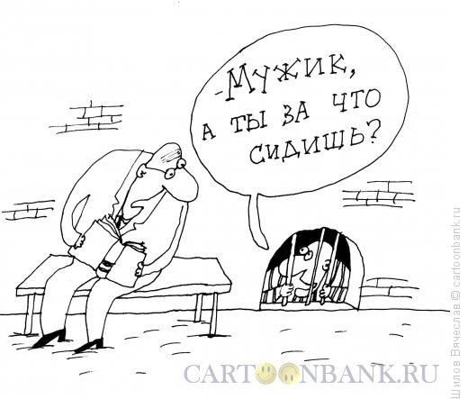 Карикатура: Хороший вопрос, Шилов Вячеслав