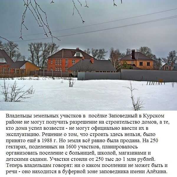 Мем, wasting the dawn