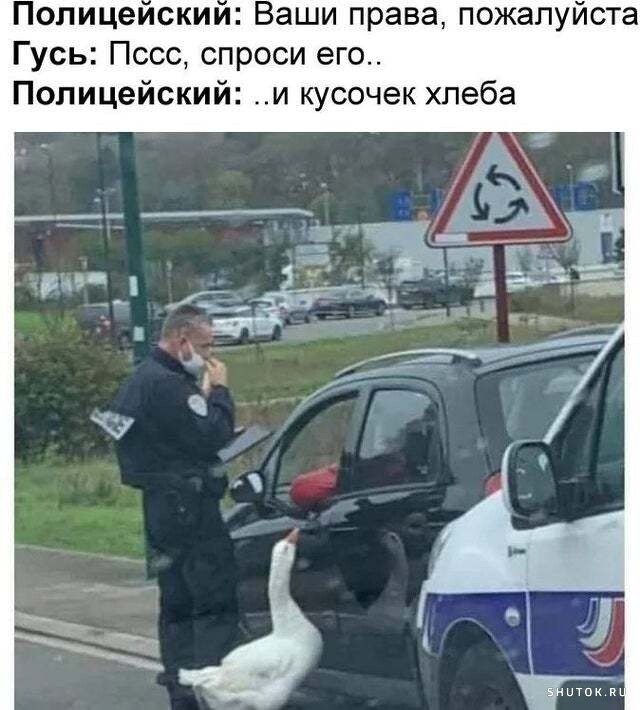 Мем, Джокер