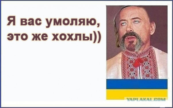 Мем, Максим Камерер