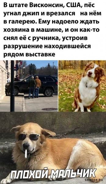 Мем, Джокер