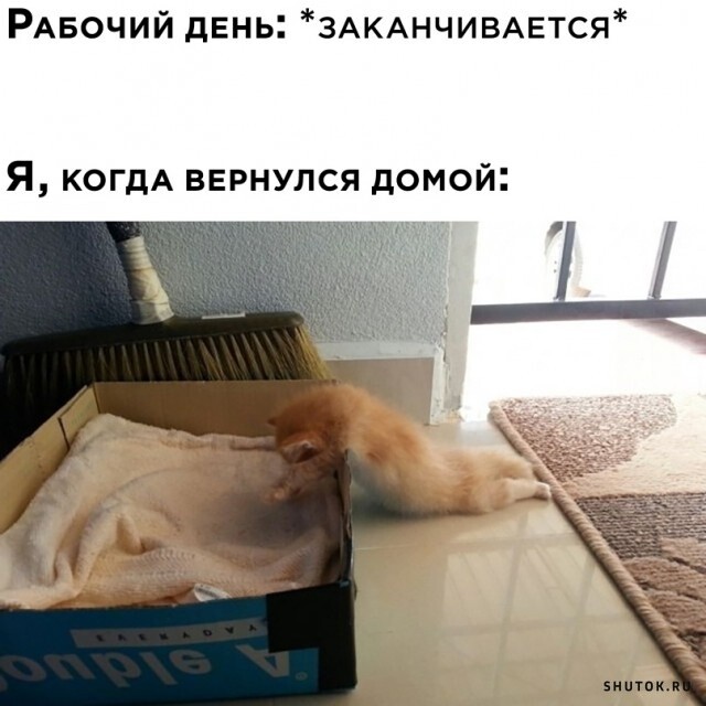 Мем, Джокер