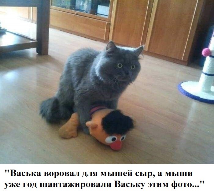 Мем: Коррупция