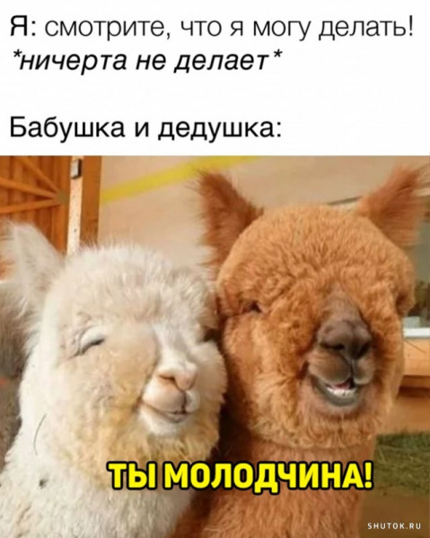 Мем, Джокер