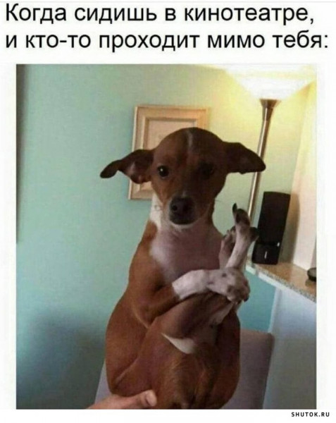 Мем, Джокер