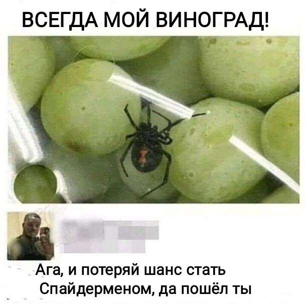 Мем, Рысь