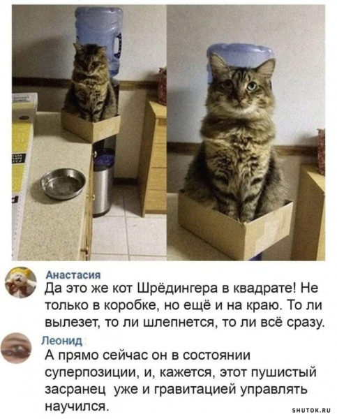 Мем, Джокер