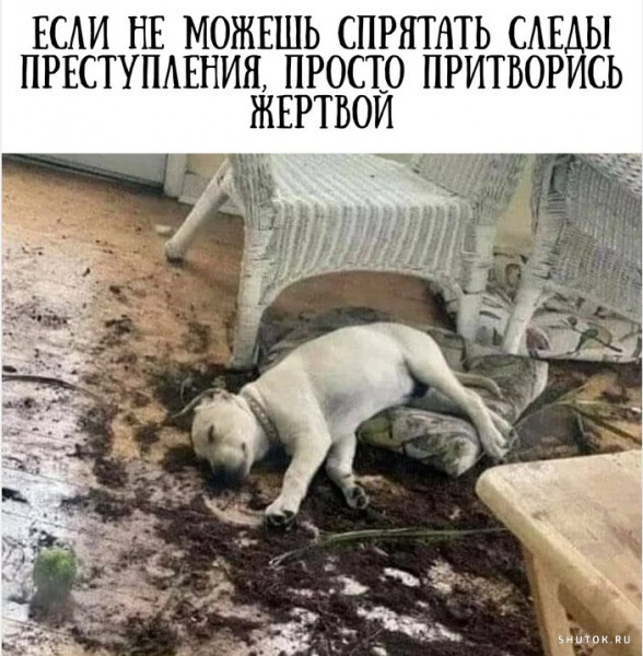 Мем, Джокер