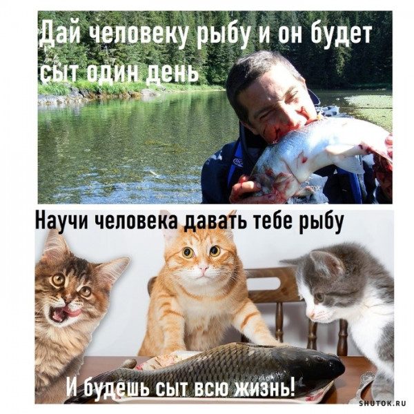 Дай человеку рыбу мем