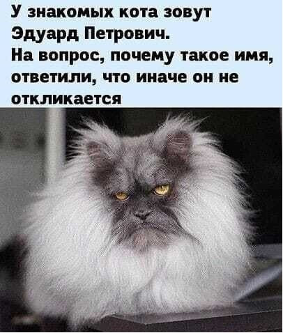 Мы в социальных сетях