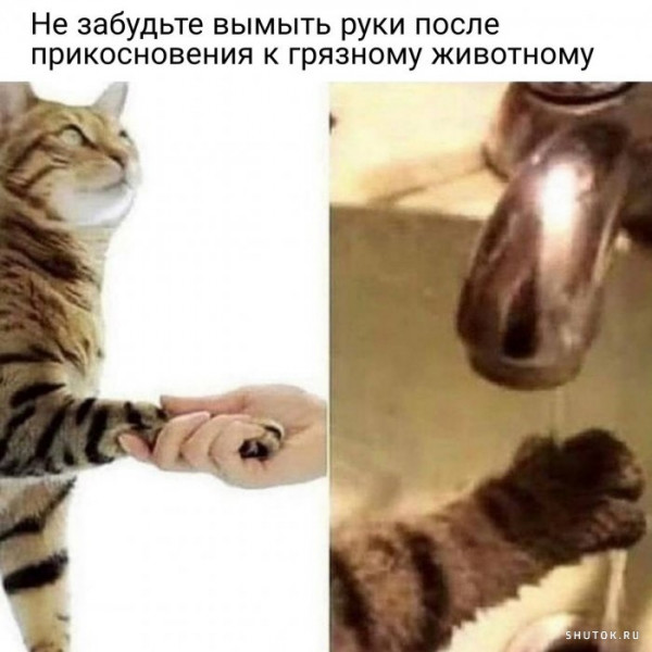 Мем, Джокер