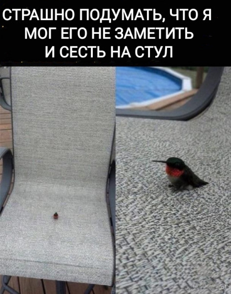 Мем, Рысь