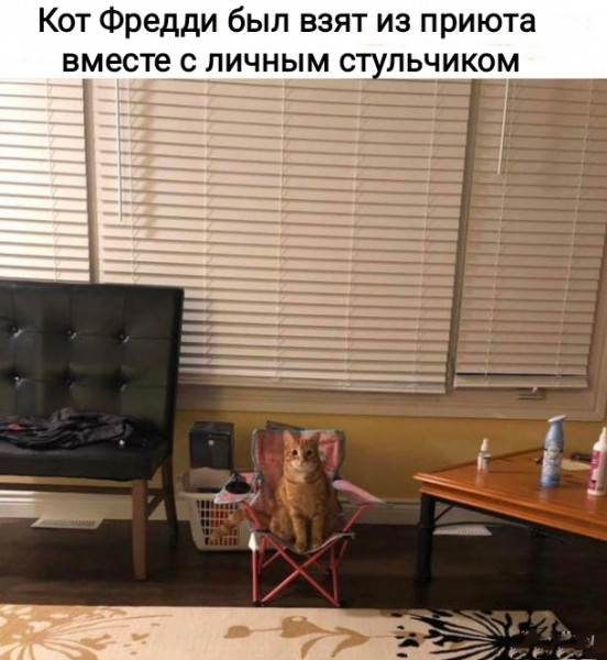 Мем, Рысь