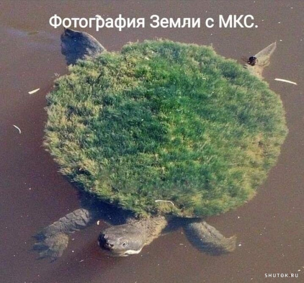 Мем, Джокер