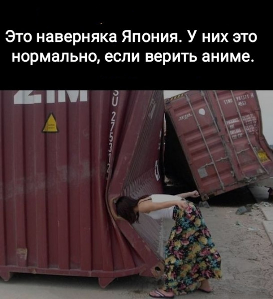Мем, Рысь