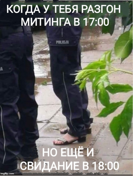 Мем, Рысь