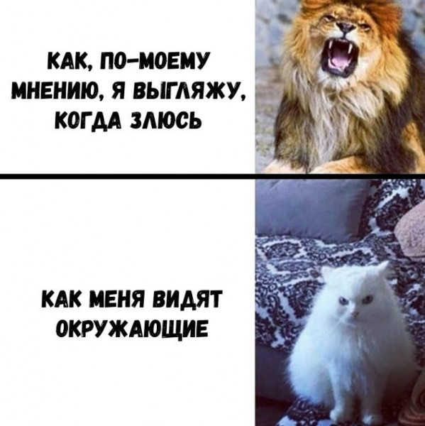 Мем