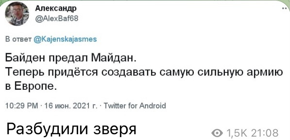 Мем, Максим Камерер