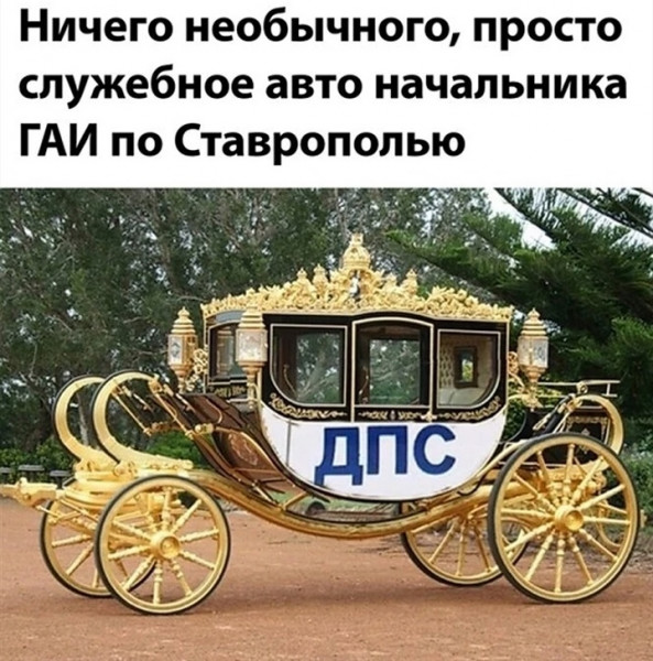 Мем, птица