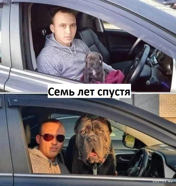 Мем, Джокер