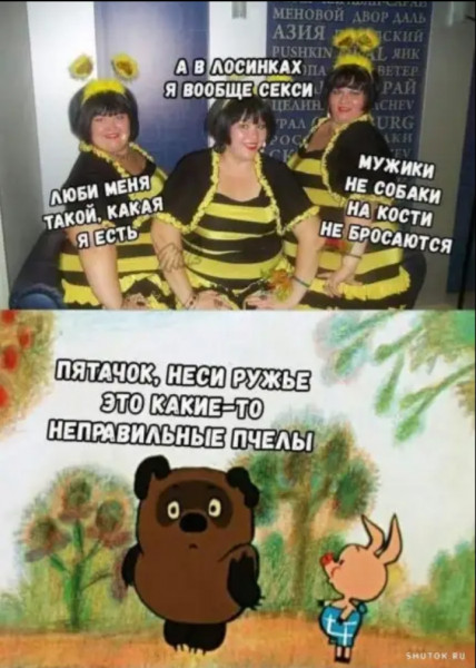 Мем: Неравильные пчёлы, Дмитрий Анатольевич