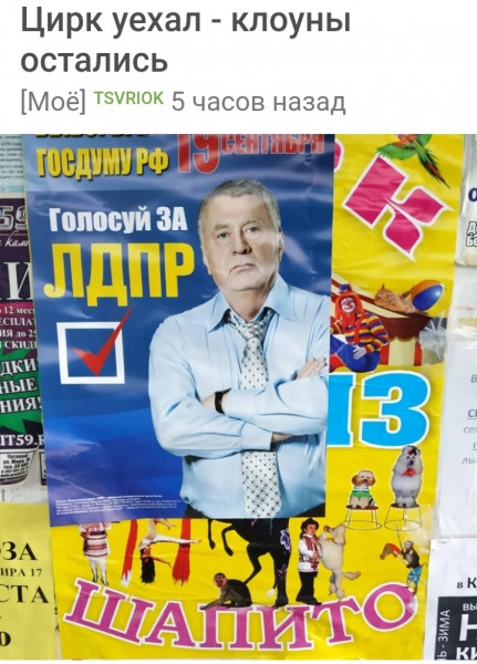 Мем, птица