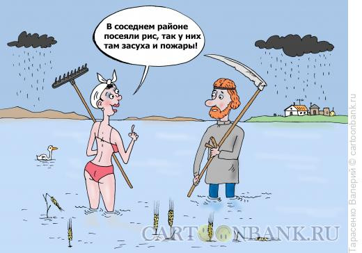 Карикатура: Стихия, Тарасенко Валерий