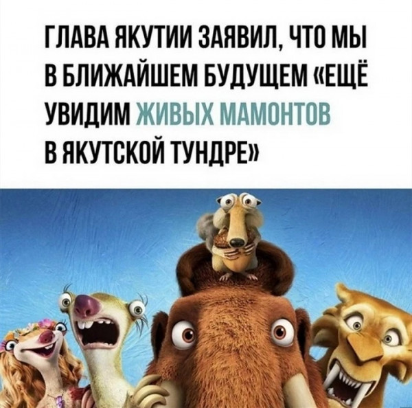 Мем, птица