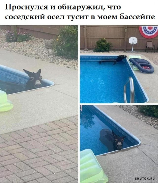 Мем, Джокер