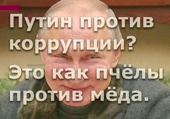 Мем: Путин против коррупции? Это как пчёлы против мёда., Патрук