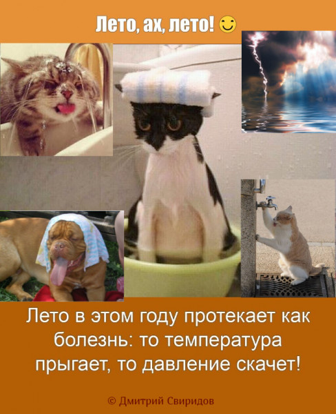 Мем