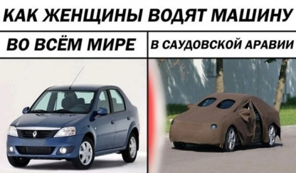 Мем, птица