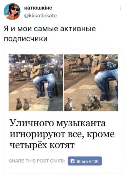 Мем, Брюттон