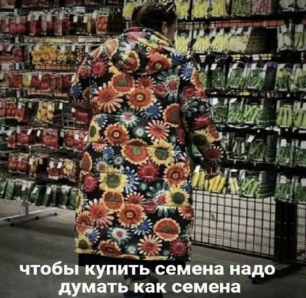 Мем, Брюттон