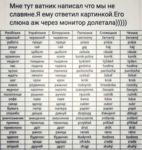 Мем, комент