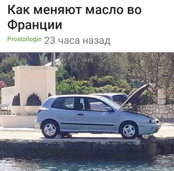 Мем, птица