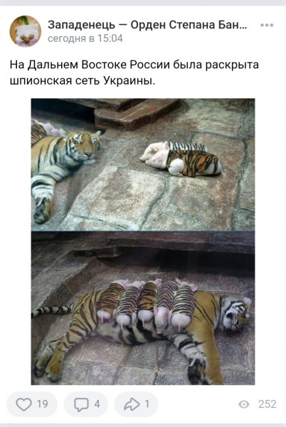 Мем, Кот Отморозкин