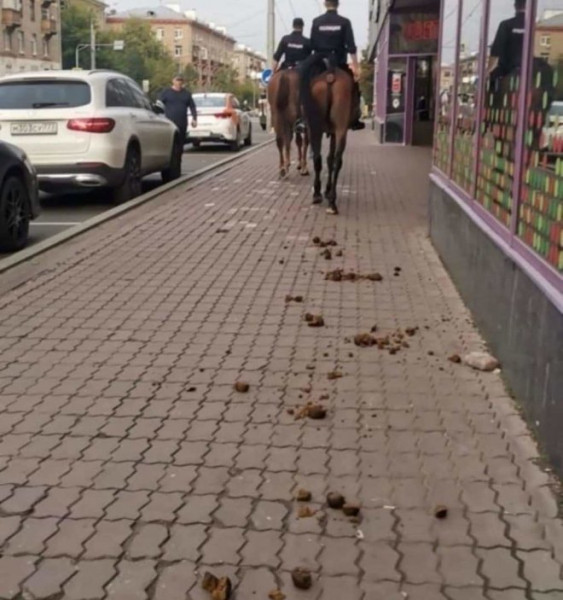 Мем: А выгул лошадей законом не запрещен, Брюттон