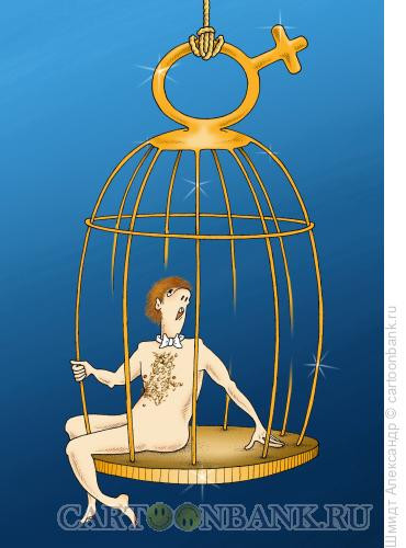 Карикатура: Золотая клетка, Шмидт Александр