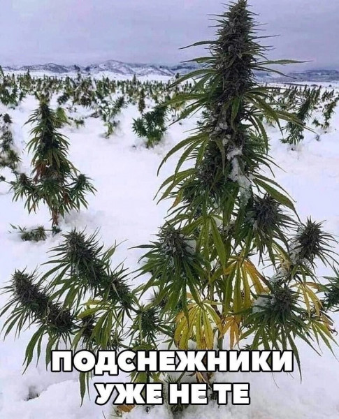 Мем