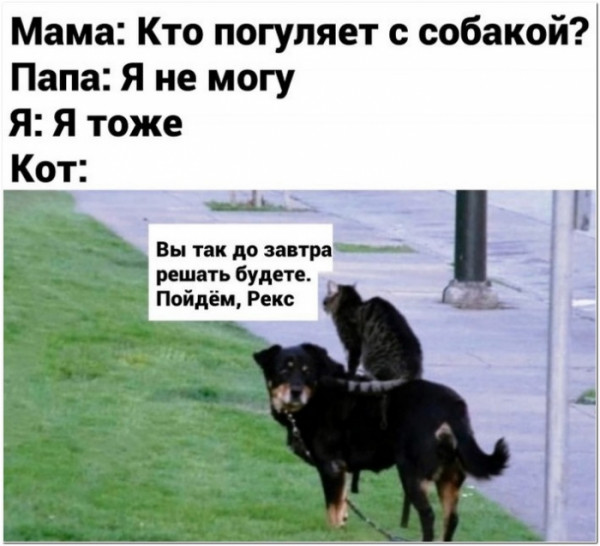 Мем, Брюттон