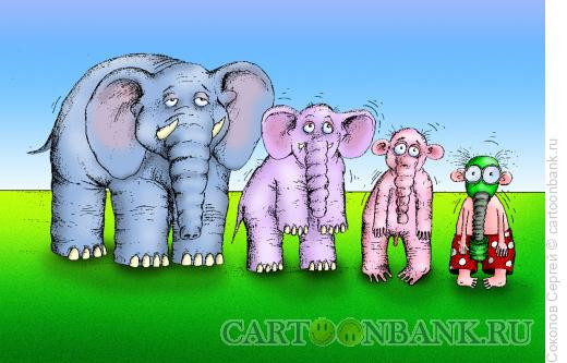 Карикатура: слонопотамия, Соколов Сергей
